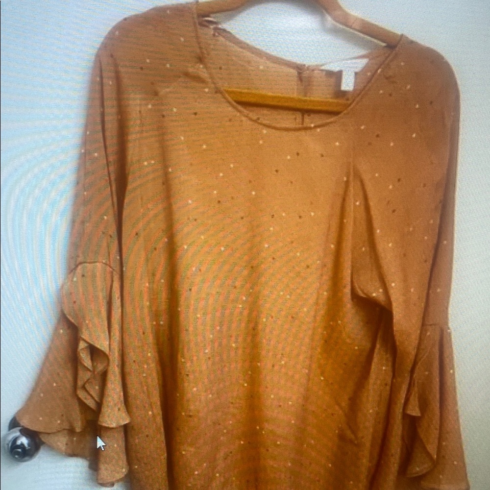 Women's Ruffled Sleeve Top - Brown